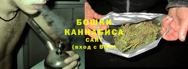 СК Аркадак