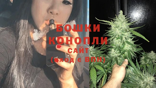 СК Аркадак
