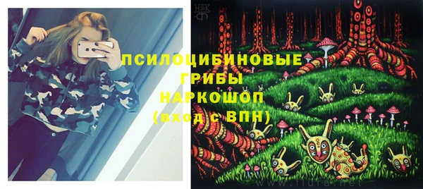 СК Аркадак