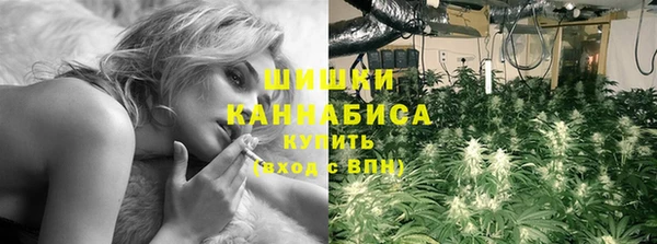 кокс Арсеньев