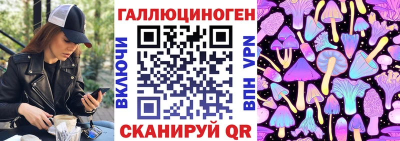 дарк нет какой сайт  kraken маркетплейс  Новоалтайск  Псилоцибиновые грибы ЛСД 